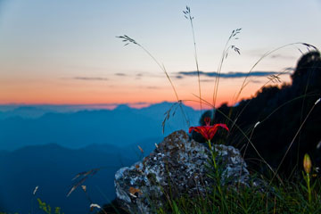 Scarpinata dopolavoro da Costa Serina al Monte Suchello per godere un bel tramonto il 22 giugno 2010  - FOTOGALLERY