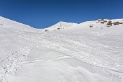 IMG_4243