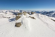 IMG_4274