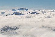 IMG_4316
