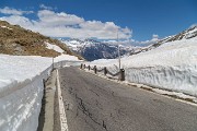 IMG_4367