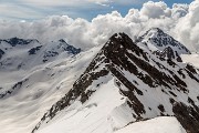 IMG_7817