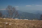 26_Valbrembana