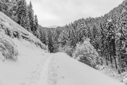 Domenica 02 marzo 2014 – Torcole - FOTOGALLERY