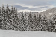 IMG_9351