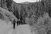 _MG_6573