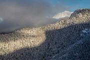 _MG_6588