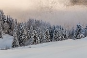 _MG_6623
