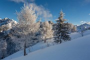 _MG_6642