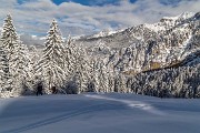 _MG_6690