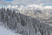 _MG_6699