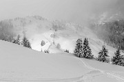 _MG_6710
