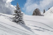 _MG_6712
