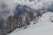 _MG_6719