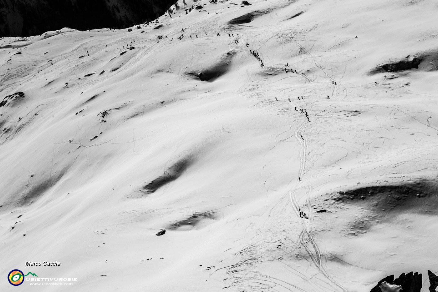 _MG_5407.JPG