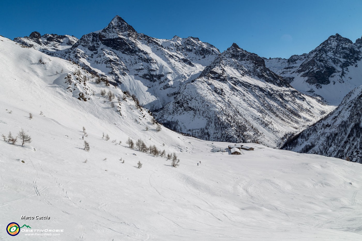 _MG_5456.JPG