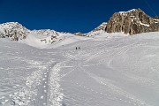 _MG_5335