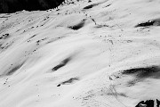 _MG_5407
