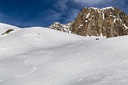 _MG_5452