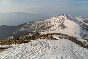 IMG_2411