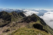 _MG_0930
