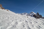 _MG_7176