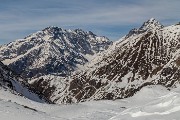 _MG_7254