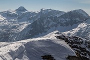 _MG_7287