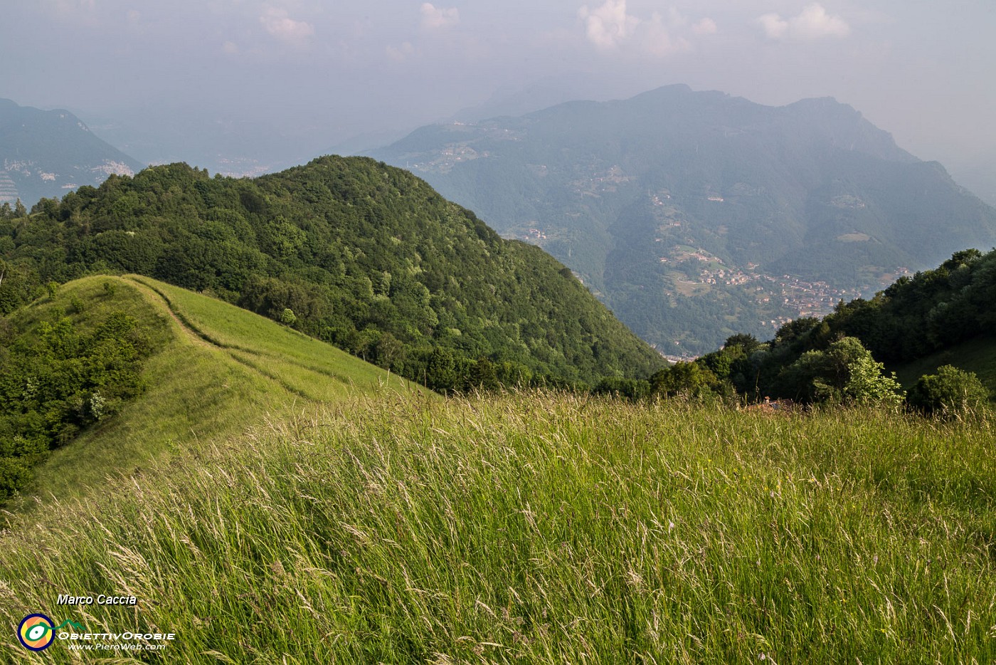 _MG_2632.JPG