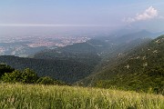 _MG_2630