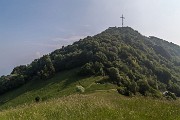_MG_2635