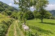 _MG_2687