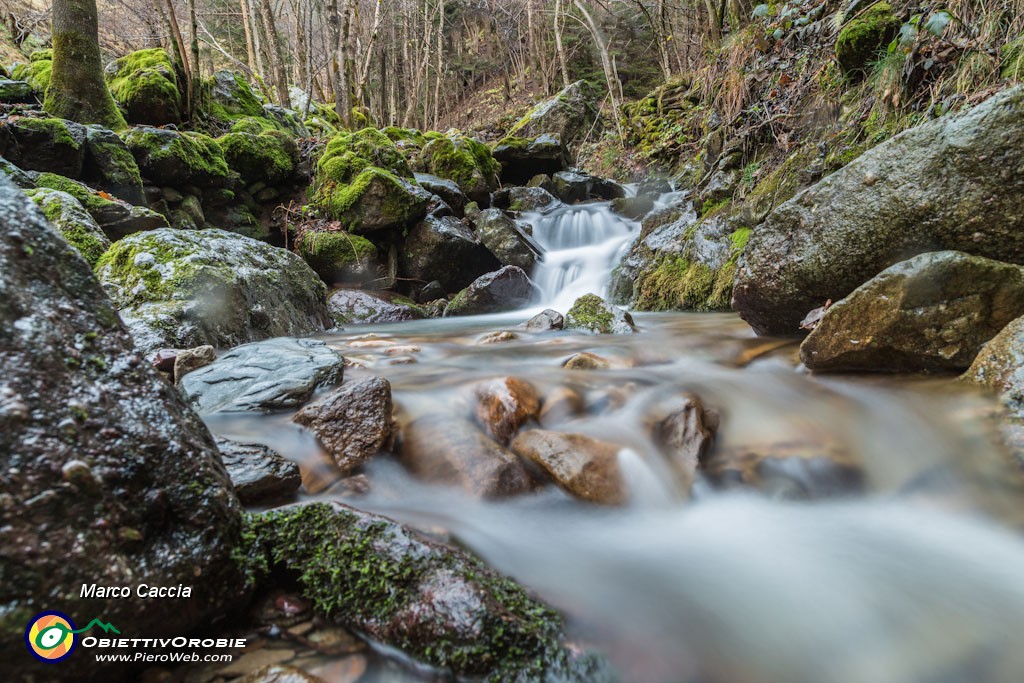 _MG_2536.JPG