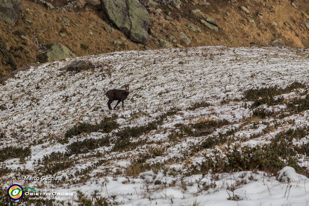_MG_2700.JPG