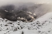 _MG_2557