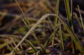 IMG_5155_resize