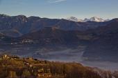 IMG_5253_resize