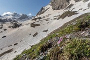 IMG_8638