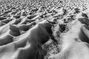 Sabato 05 Luglio 2014 – M.ti Trobbio – Costone – Strinato  -  FOTOGALLERY