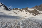 IMG_8654