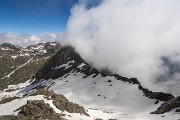 IMG_8711