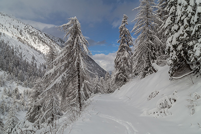 Domenica 18 Gennaio 2015 – Val Madre - FOTOGALLERY