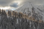 Domenica 18 Gennaio 2015 – Val Madre - FOTOGALLERY