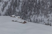 _MG_5672