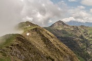 _MG_1083