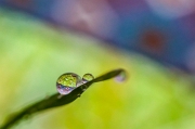 IMG_9304_resize