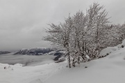 IMG_7290