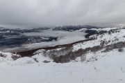 IMG_7295
