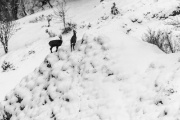 IMG_7306