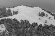 IMG_7357